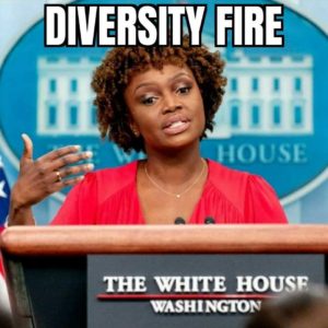 Read more about the article diversity fire