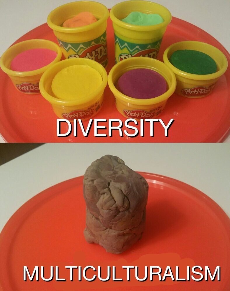 diversity multiculturalism
