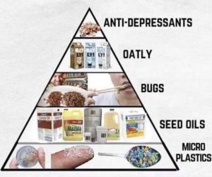 Read more about the article the modern food pyramid