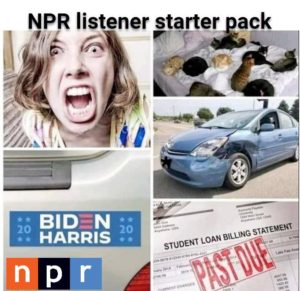 Read more about the article NPR starter pack