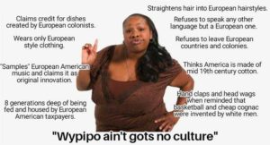 Read more about the article wypipo culture