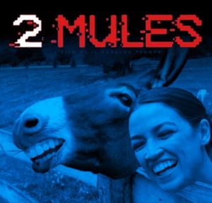 Read more about the article 2 mules