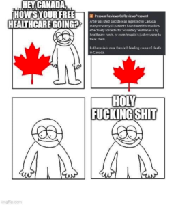 Read more about the article free Canadian healthcare