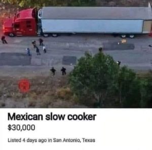 Read more about the article slow cooker