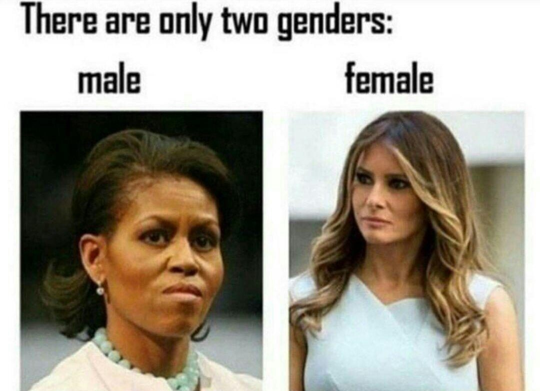 Read more about the article the only two genders