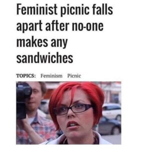Read more about the article feminist picnic