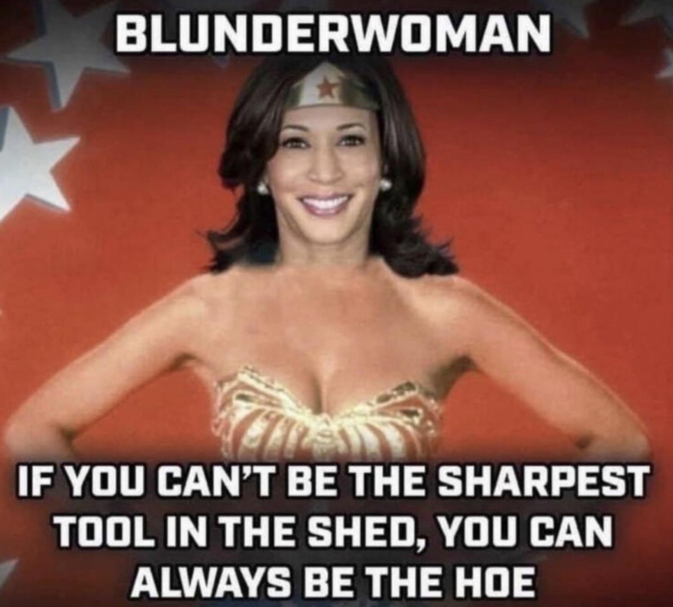 Read more about the article blunderwoman