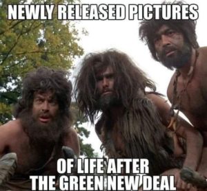 Read more about the article life after green new deal