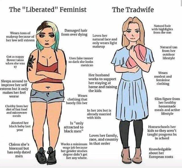 Read more about the article feminist vs. tradwife