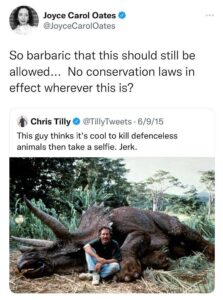 Read more about the article we must protect our Triceratops