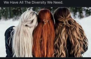 Read more about the article diversity achieved
