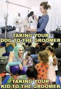 Read more about the article groomers