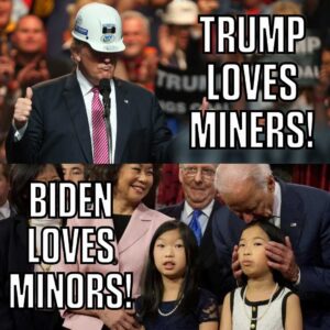 Read more about the article miners vs minors