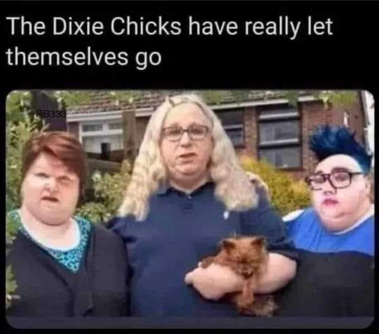 Read more about the article the Dixie Chicks today
