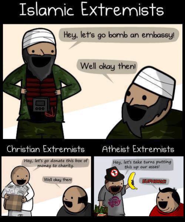Read more about the article extremists