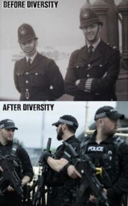 Read more about the article diversity requires a militarized police