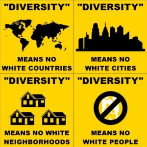 Read more about the article diversity means