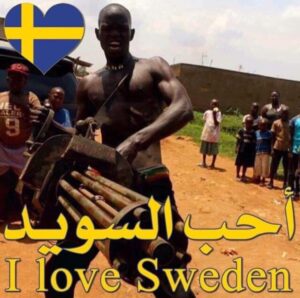 Read more about the article Visit Beautiful Sweden