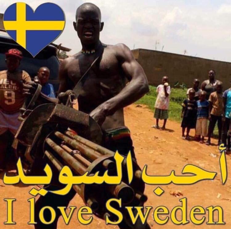 Read more about the article Visit Beautiful Sweden