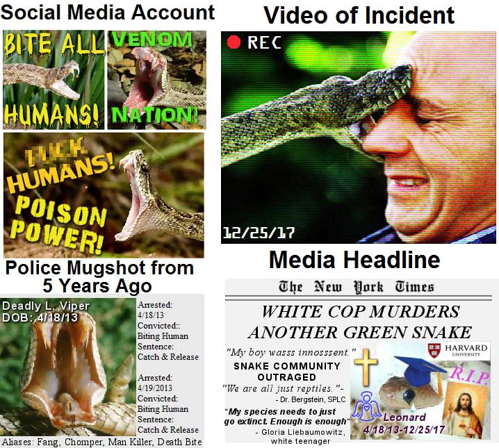 Read more about the article media covers snake attack