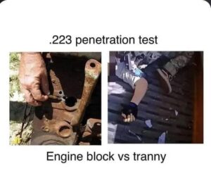 223 penetration test