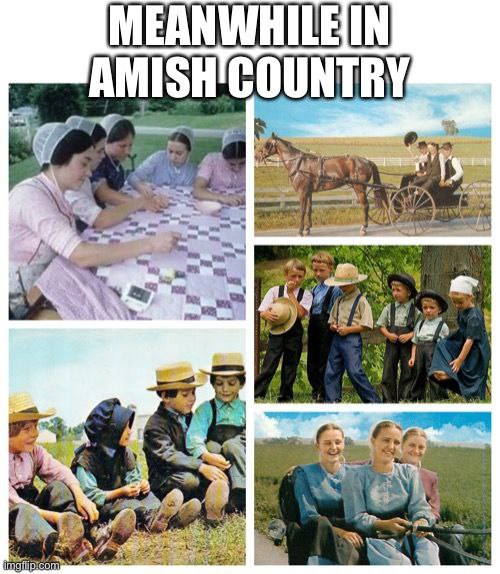 meanwhile-in-amish-country.jpeg