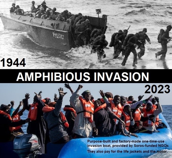 Read more about the article a 20 year invasion