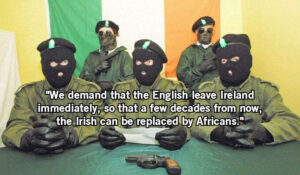 Read more about the article the IRA is a joke