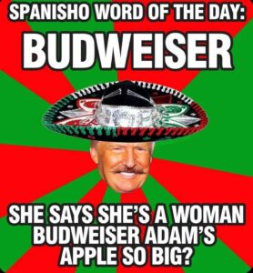 spanish word of the day budweiser