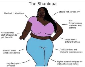 Read more about the article the Shaniqua