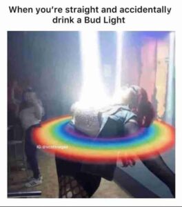 when you're straight and drink a bud light