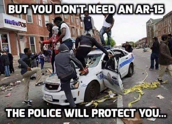 you-dont-need-an-AR-15-the-police-will-protect-you.jpg