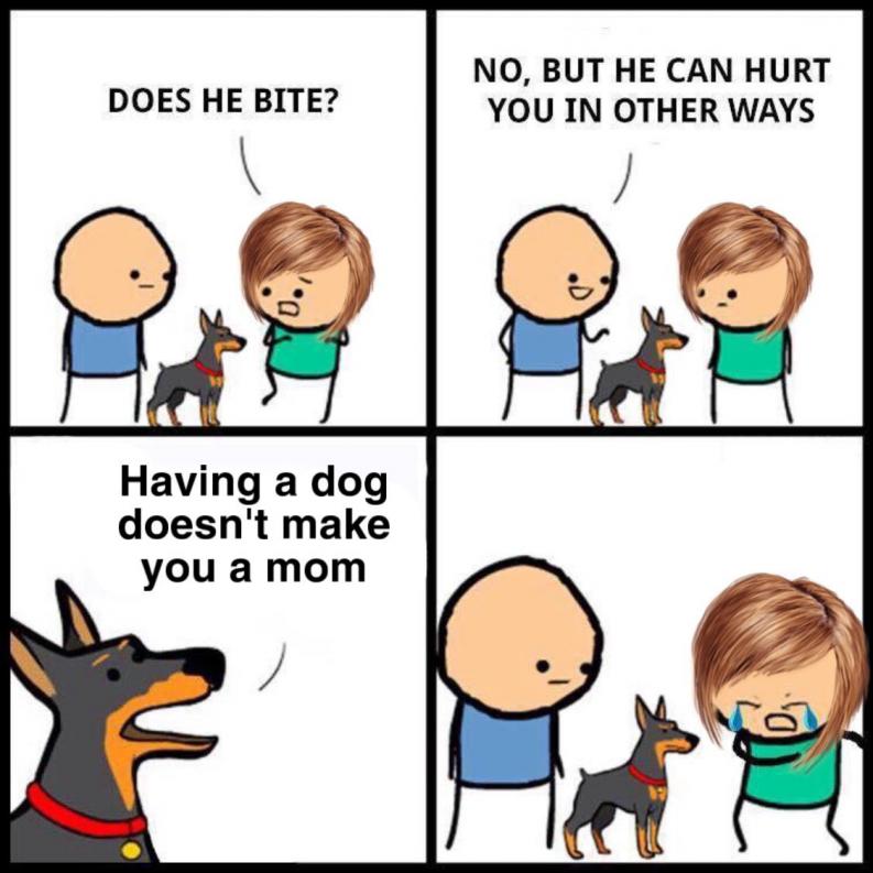 does-he-bite-dog-mom.jpeg