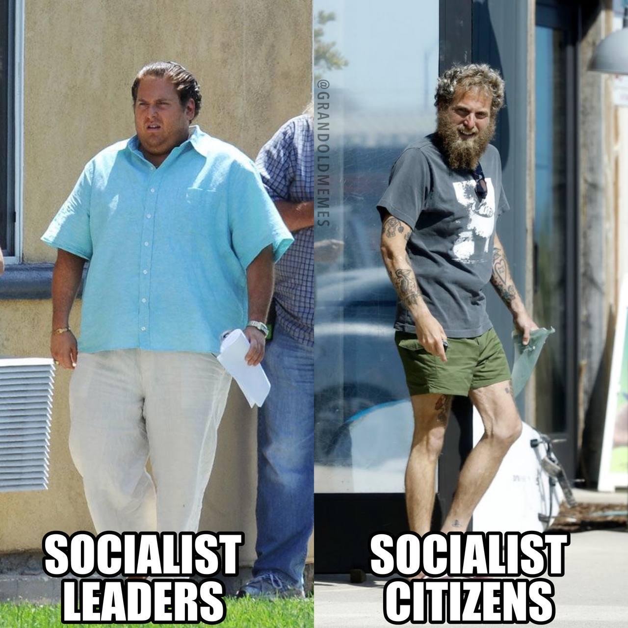 Read more about the article Jonah Hill: socialism analogy