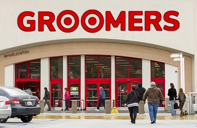 Read more about the article target groomers