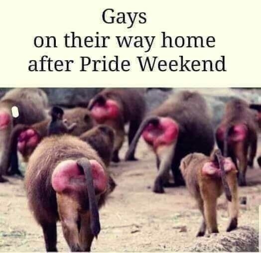 Read more about the article another satisfying Pride Weekend