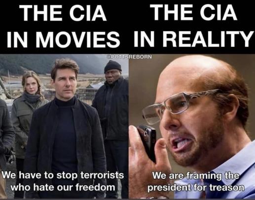 Read more about the article the CIA in reality