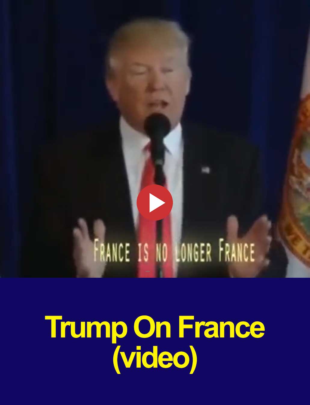 Read more about the article Trump talking about France (video)