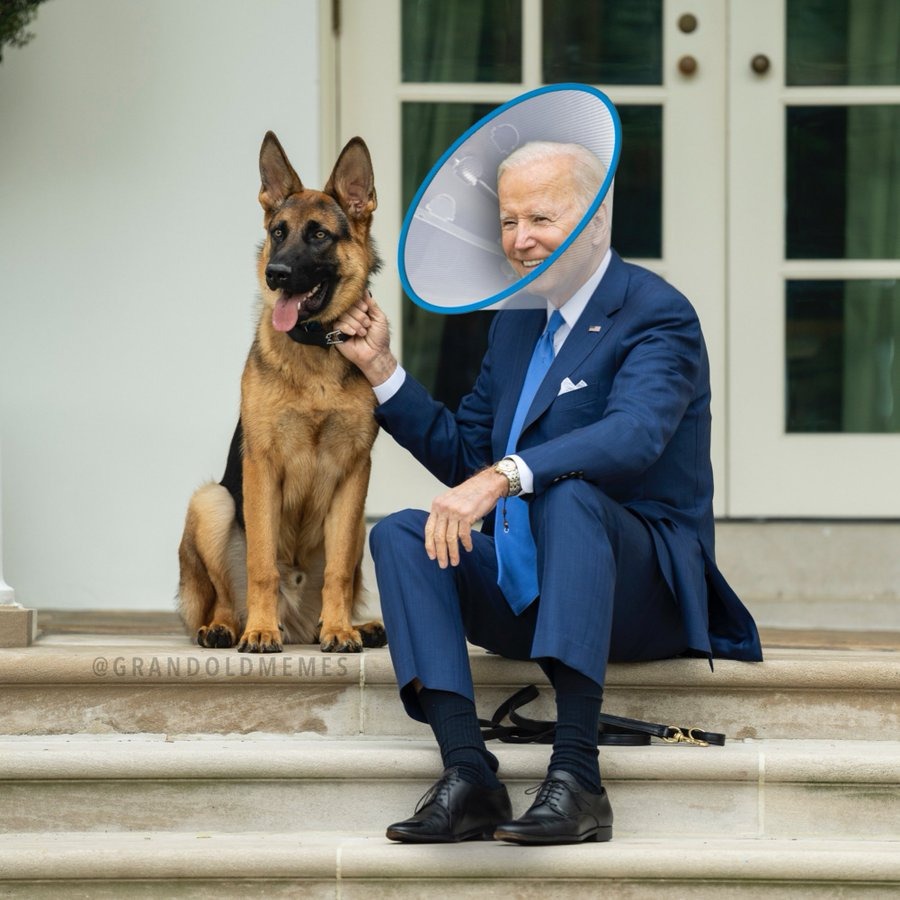 biden-with-german-shepherd-cone.jpg