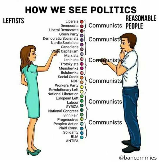 Read more about the article a handy infographic guide on left wing parties