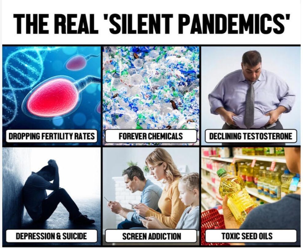 Read more about the article silent pandemics