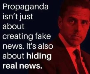 Read more about the article propaganda is also what is NOT shown