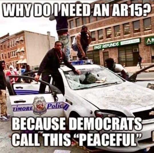 Read more about the article why do I need an AR-15?