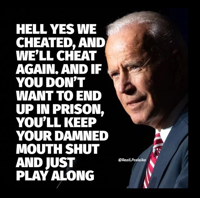 biden-head-profile-yes-we-cheated.jpg