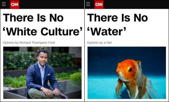 Read more about the article everything is our culture