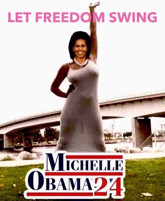 let-freedom-swing-michelle-obama-24.jpeg