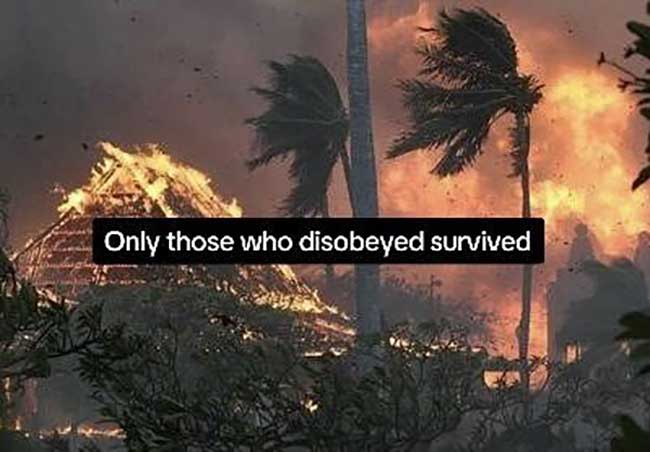 maui-fires-only-those-who-disobeyed-survived.jpg