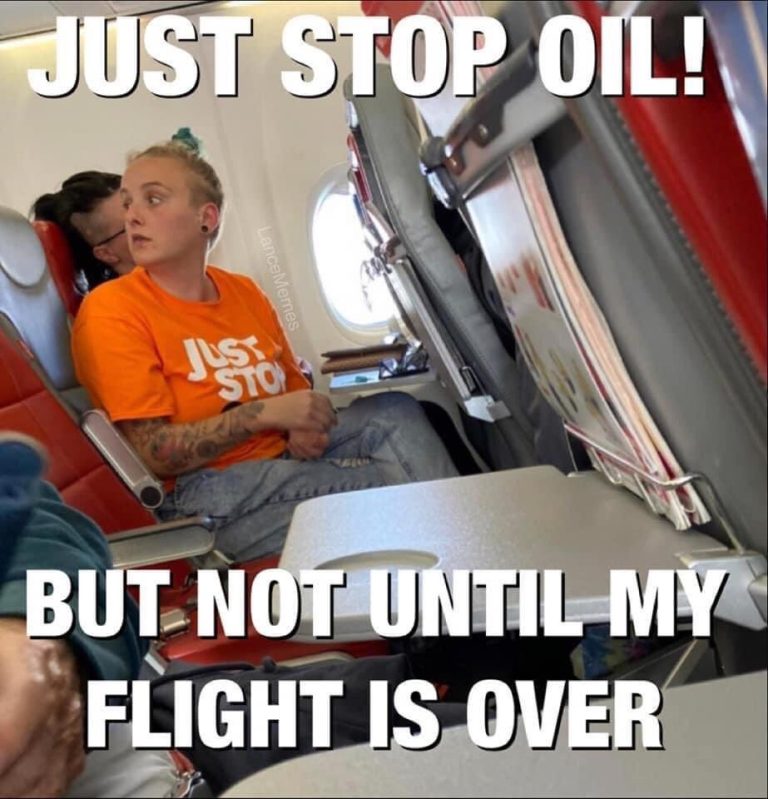 just-stop-oil-but-not-until-flight-is-over-t-shirt-on-plane-768x799.jpg
