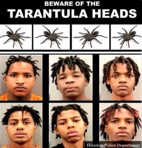 Read more about the article beware the tarantula