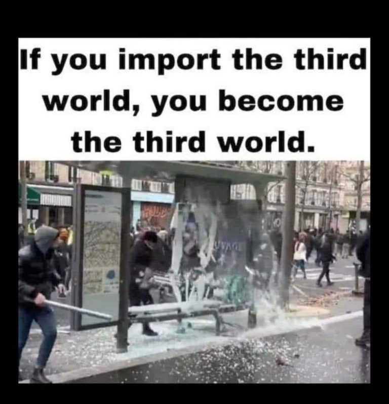 if-you-import-the-third-world-you-become-the-third-world-768x796.jpeg